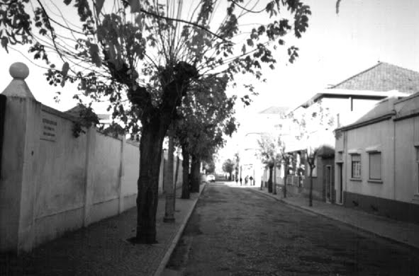 [AVENIDA+1992.jpg]