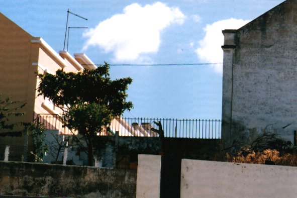 [BECO+FREI+G+CASAL.jpg]
