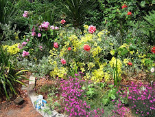 Greenery at the Ballard Locks