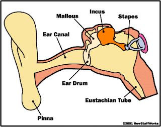 Three Sounds Vibrations Three Sounds Vibrations