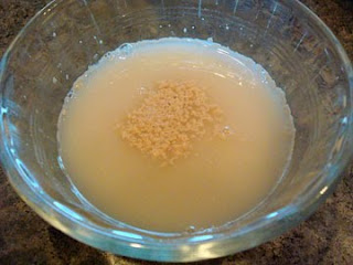 yeast proofing in a bowl