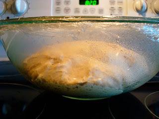 bread dough rising in a covered glass bowl