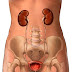 Trasplante y diálisis renal