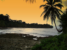 Beach in Bocas Del Toro