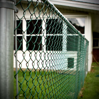 Doggy Fence