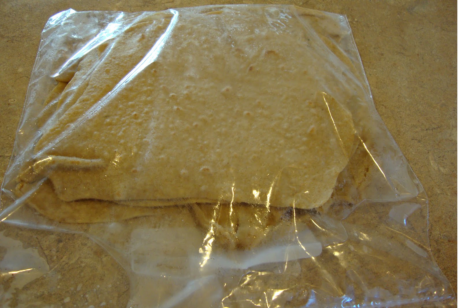 A bandwagon of my own creation The BEST Whole Wheat Tortillas Ever