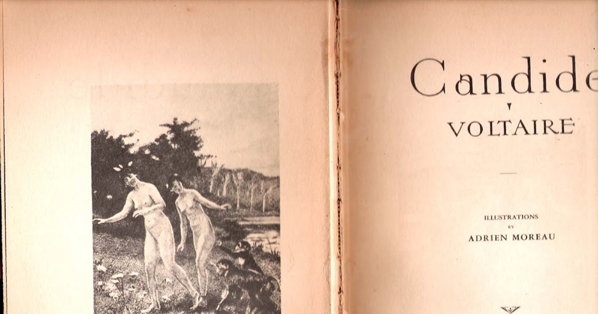 themes of candide themes of candide