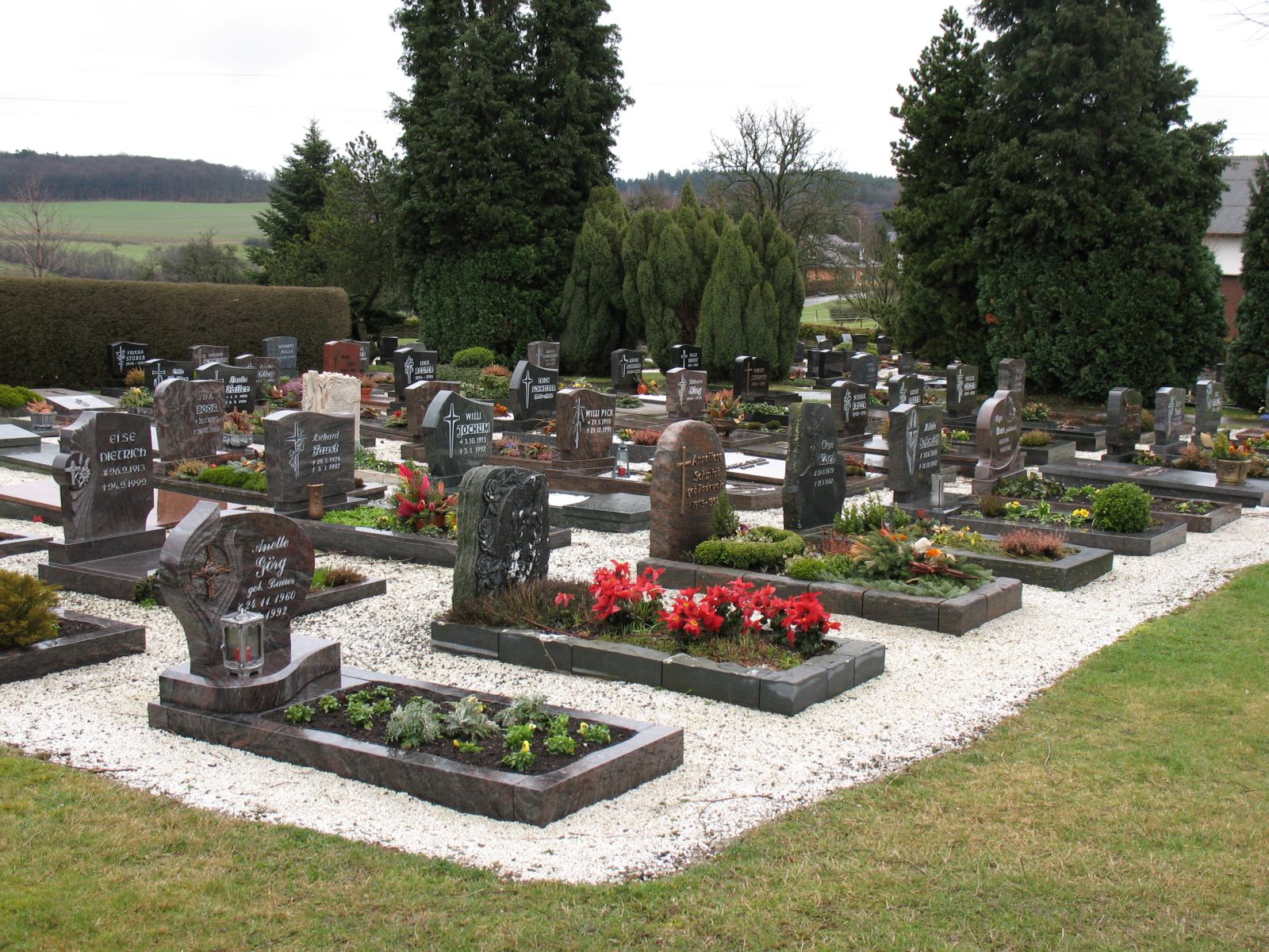 [graveyard.jpg]