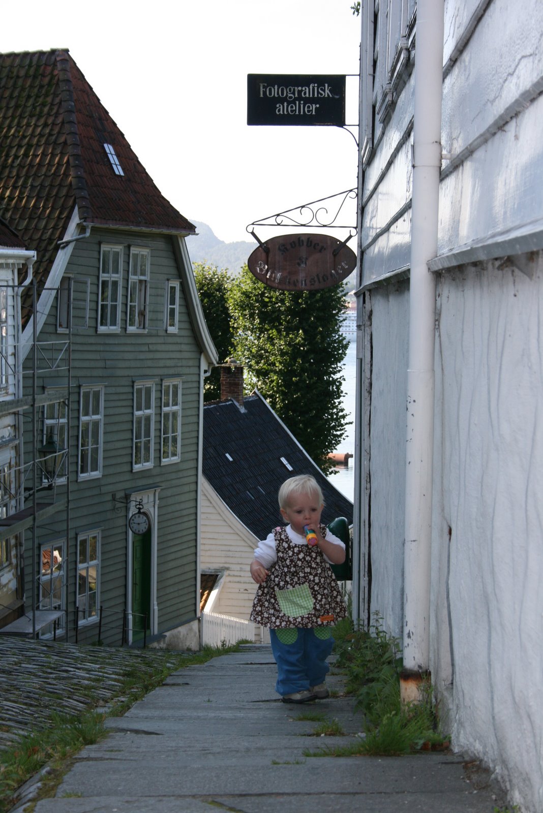[IMG_5164.JPG]