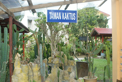 LAMAN SKGU: 4.TAMAN KAKTUS
