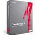 Sony Sound Forge 9 + Plugins