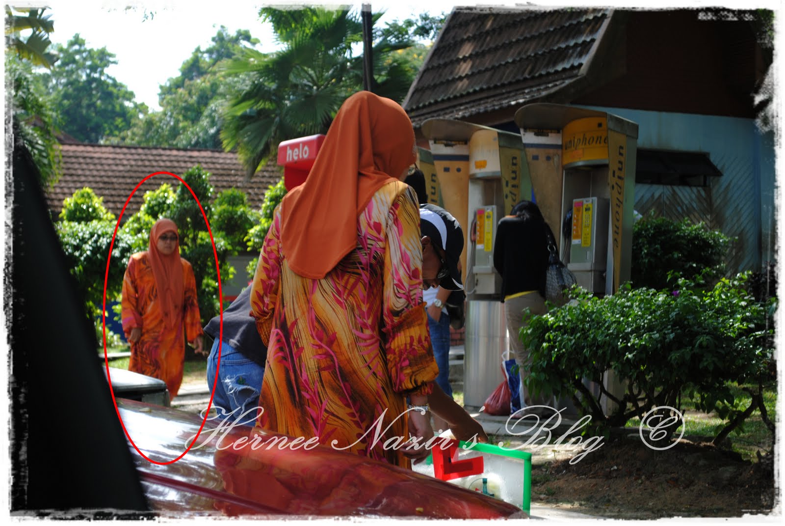 [DSC_0016.JPG]