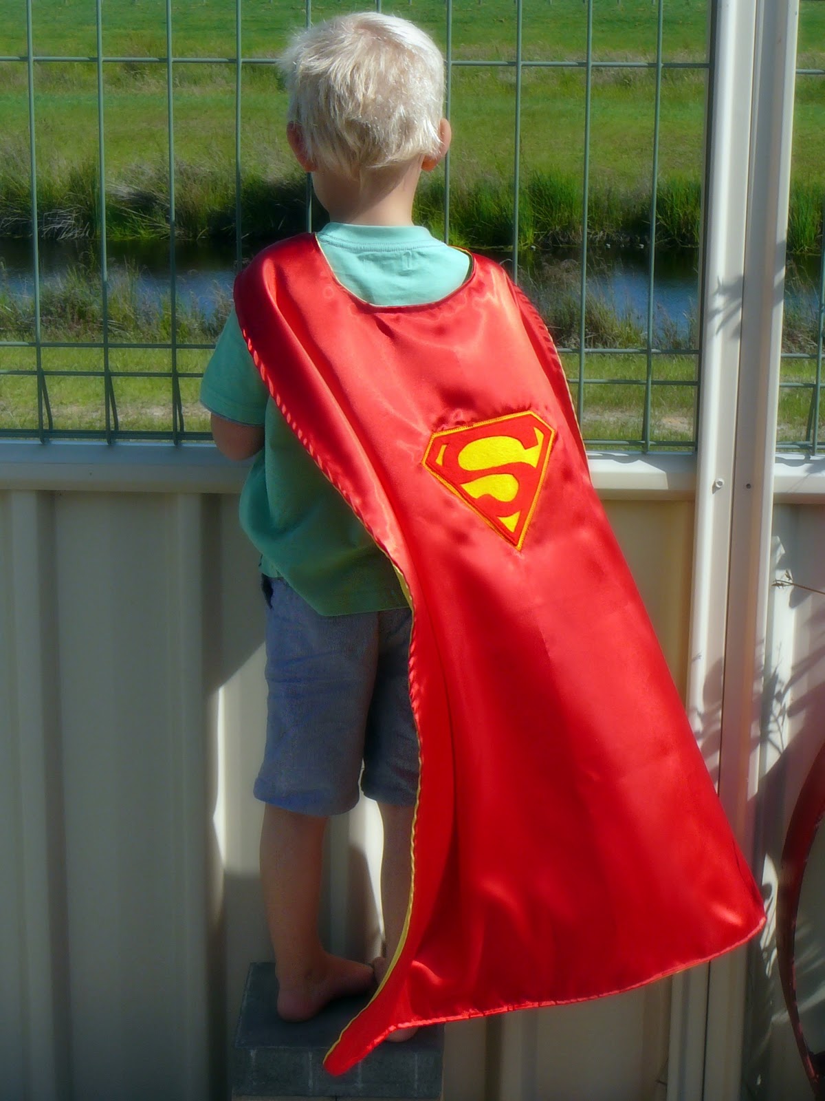 Superman Cape For Small Dogs