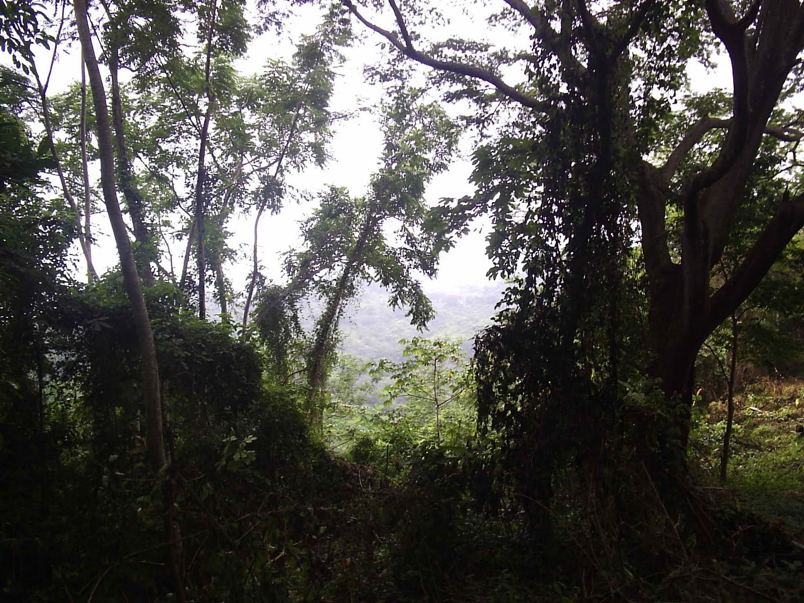 [7+View+gate+bac+Costa-Rica+1+216.jpg]