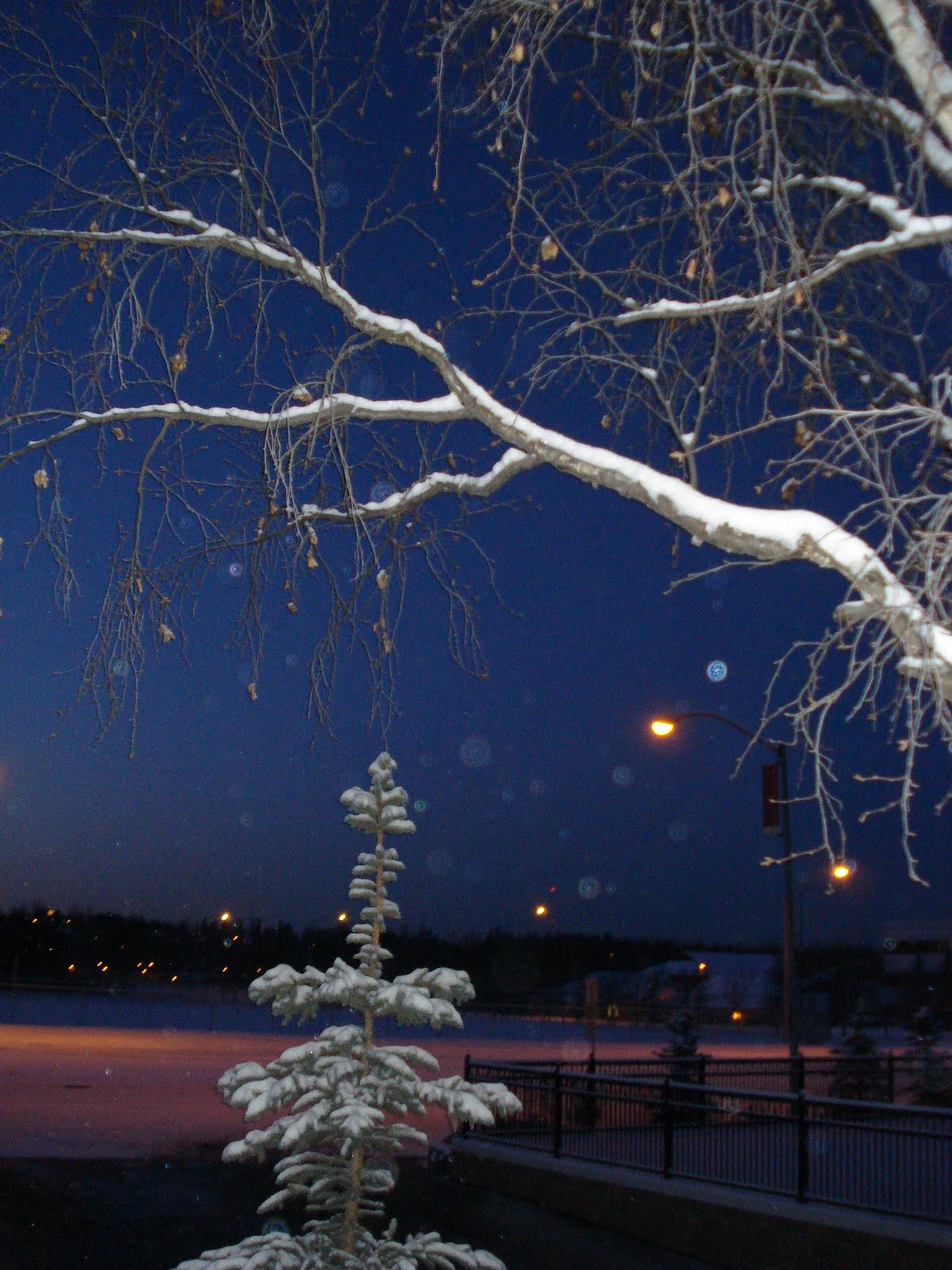 [DSC02872.JPG]
