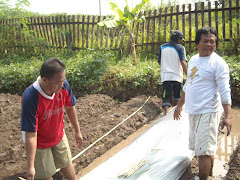 LAHAN KAJI HORTIKULTURA