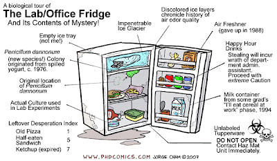 Funny Quotes Clean Out Refrigerator. QuotesGram Funny Quotes Clean Out Refrigerator. QuotesGram
