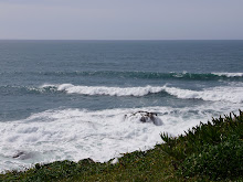 Bodega Head