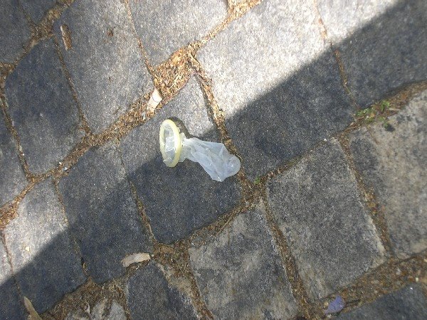 [IMGP9005.JPG]