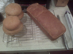Homemade Bread/Buns