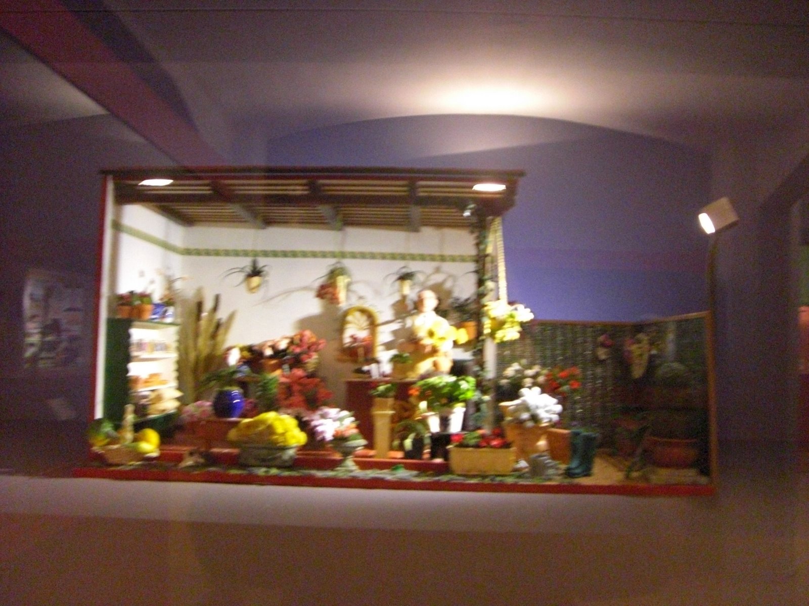 [museo+de+(18).JPG]