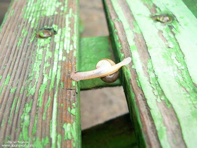 Crash course from snail_myfpf.blogspot.com