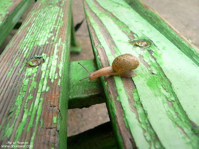 Crash course from snail_myfpf.blogspot.com
