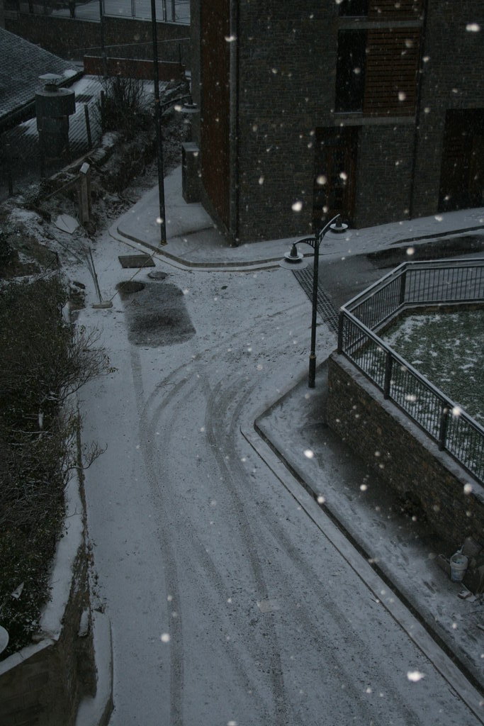 [IMG_9922.redimensionada.JPG]