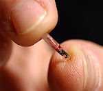 Est-ce que les micro-puces RFID sont une bonne chose ?