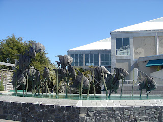 aquarium