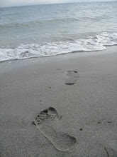 caminante...