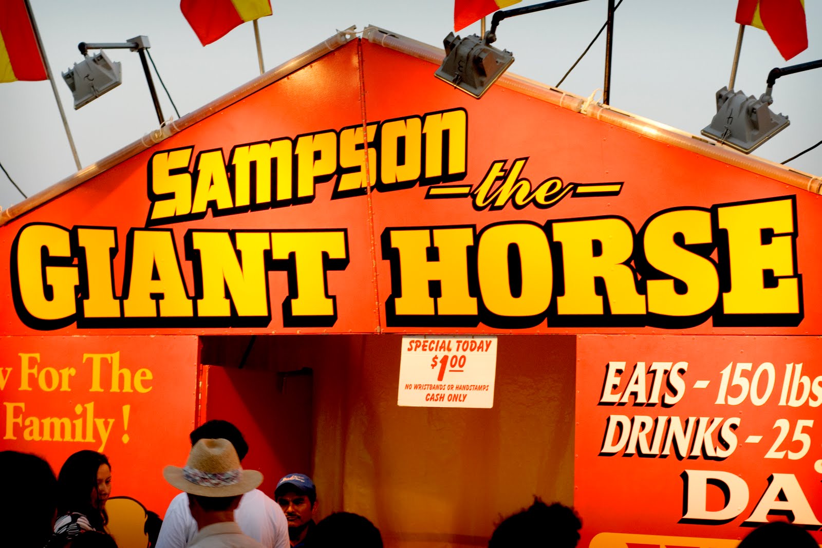 How To Make A Dollar Make money from a giant horse