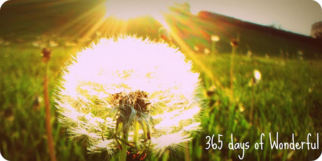365 days of Wonderful