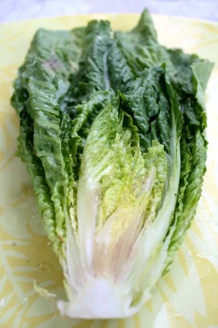 romaine vs romaine hearts romaine vs romaine hearts