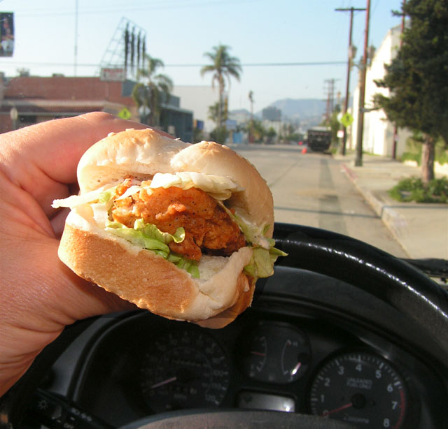 [snacker+driving.jpg]