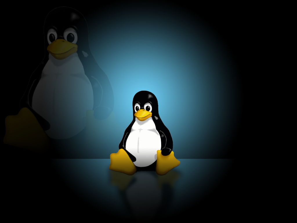 http://2.bp.blogspot.com/_B6TILkAQw5k/S38jZfs7V9I/AAAAAAAAABI/uWH12cUtc_s/s1600-R/linux-wallpaper--1024x768--tux-blue.png