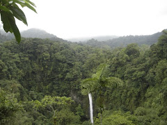 Magnífico Salto de Agua en ARENAL