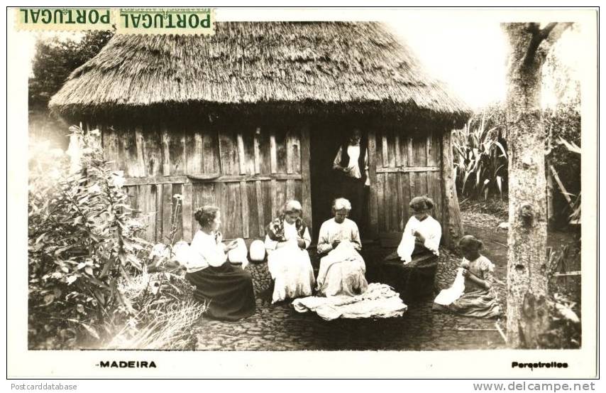 [z2.jpg]