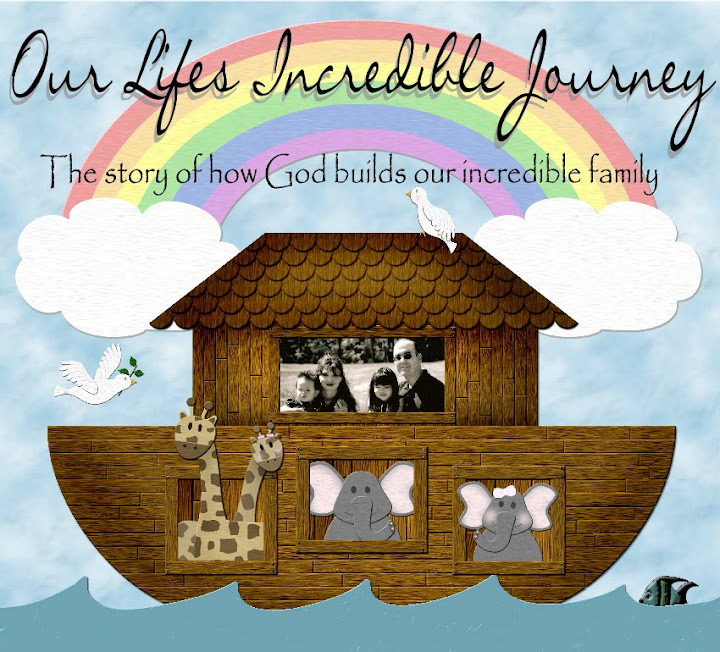 Our Lifes Incredible Journey
