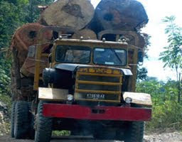 Truk Illegal Logging