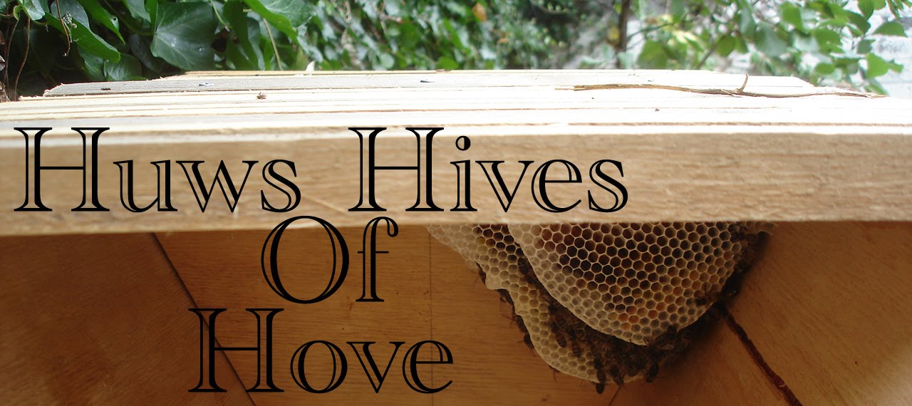 Huws Hives of Hove
