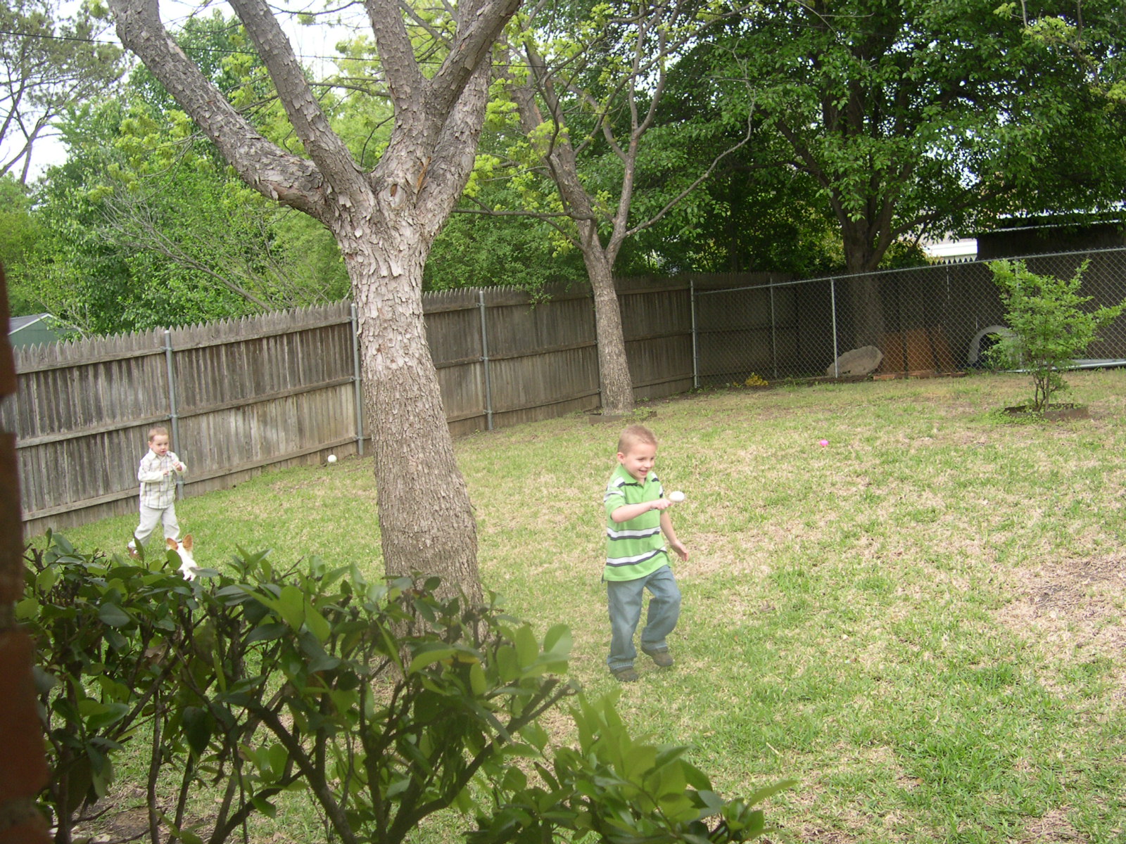 [DSCN3671.JPG]