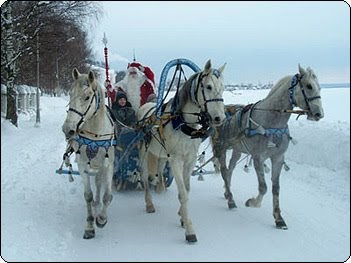 Купить зимнее пальто для девочки пулка