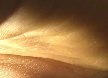 [BjoernHermann.handscape.5..JPG]
