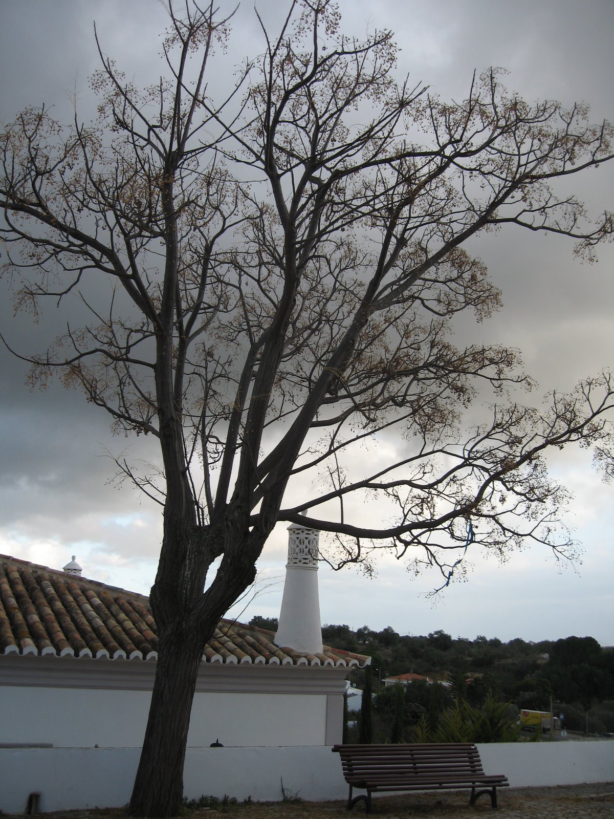 [IMG_0944.JPG]