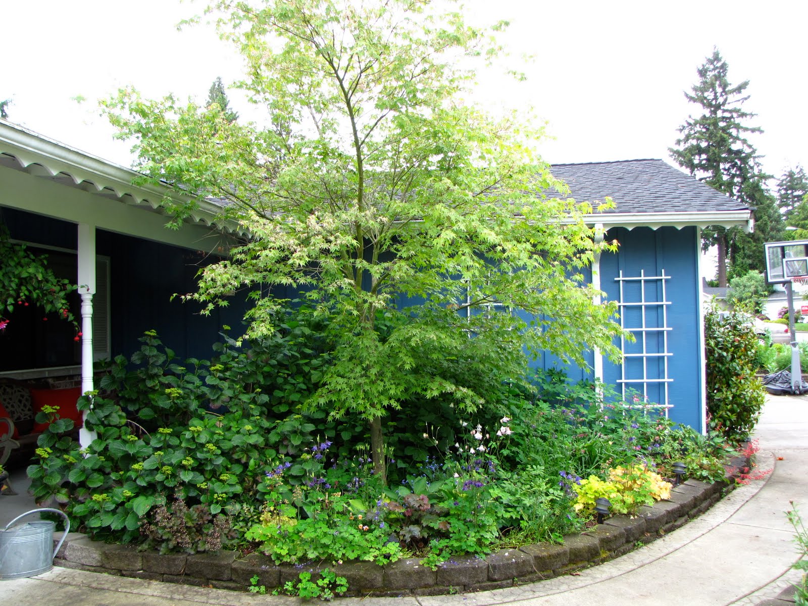 A Gardener in Progress: May 2010