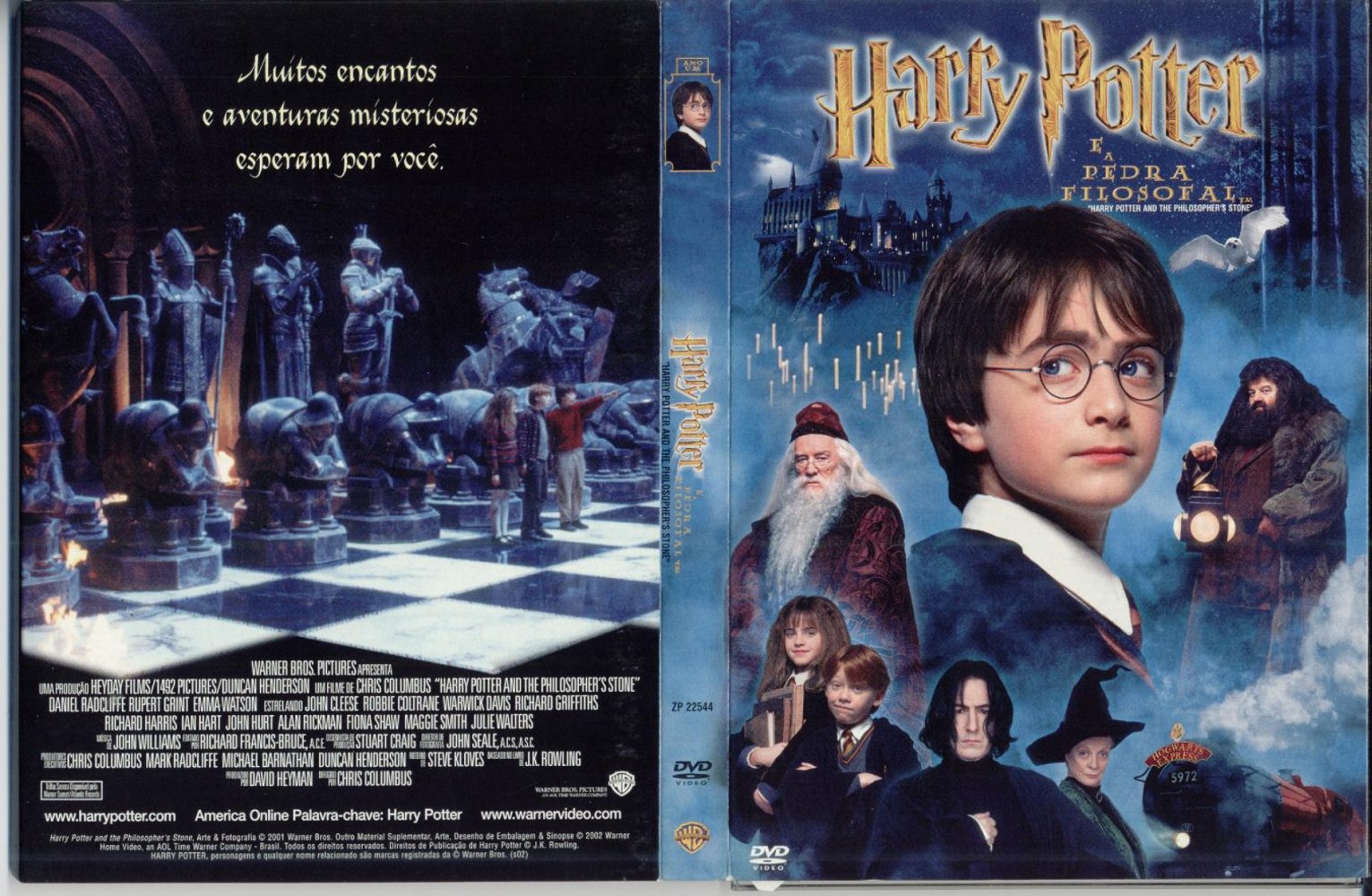 Harry Potter e a Pedra Filosofal Mostra Dublê de Rupert Grint no Xadrez  Bruxo