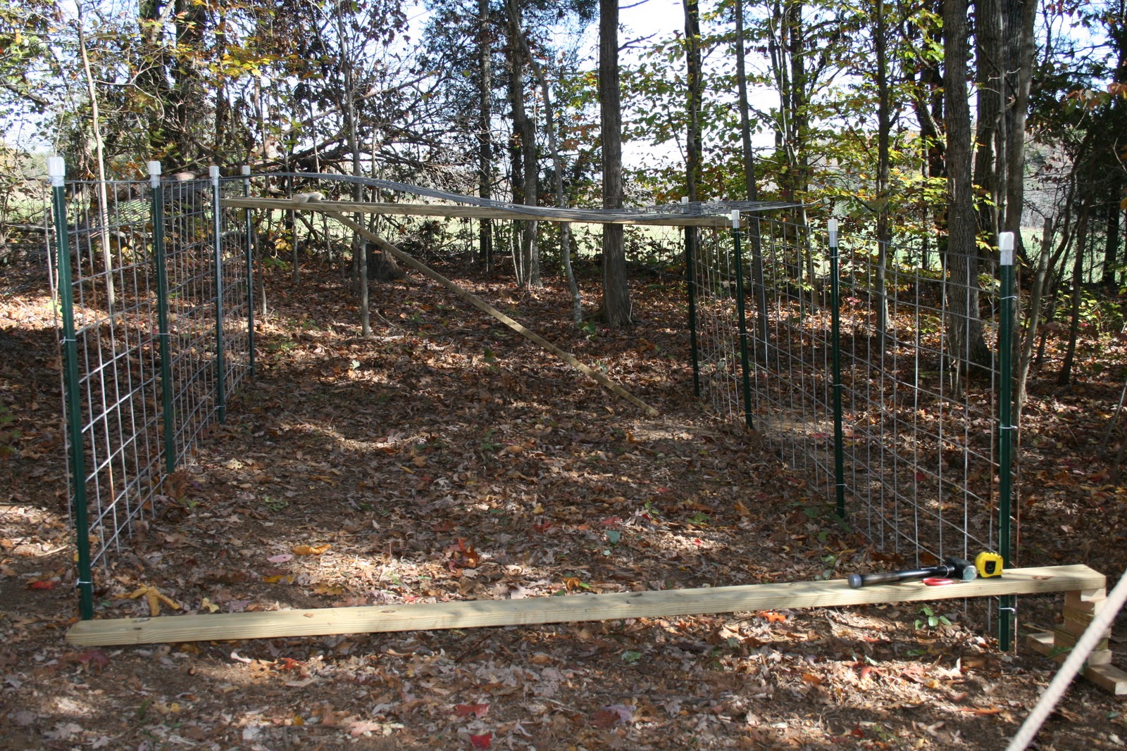 Hog Panel Fence