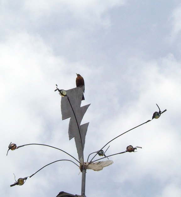 Bird strikes lightning