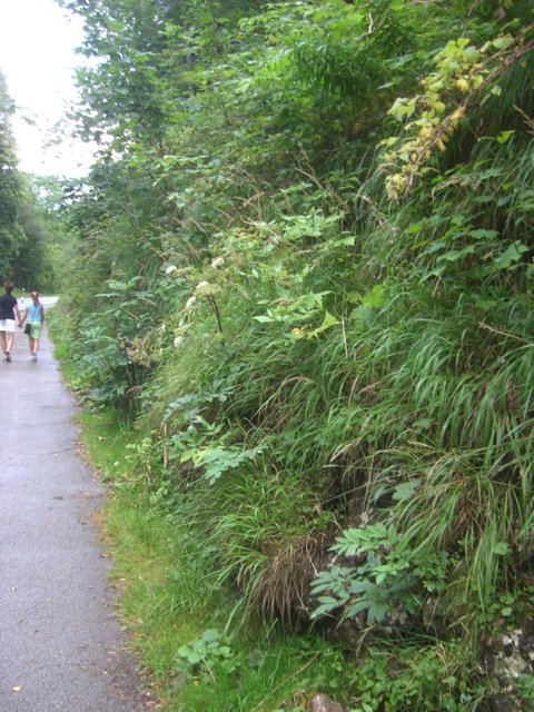 Eagles Nest Elevator